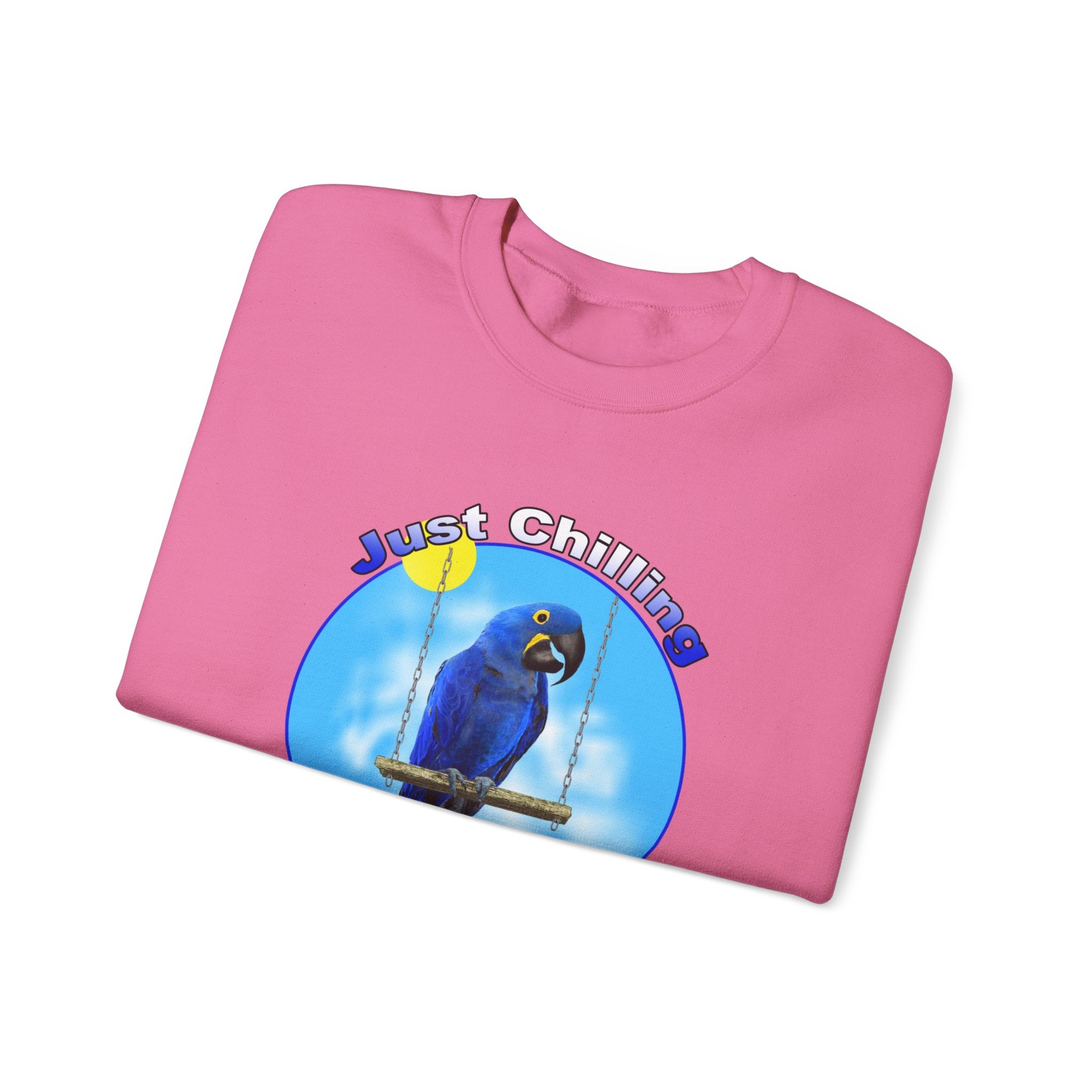 Just Chilling Swing Hyacinth Sweatshirt