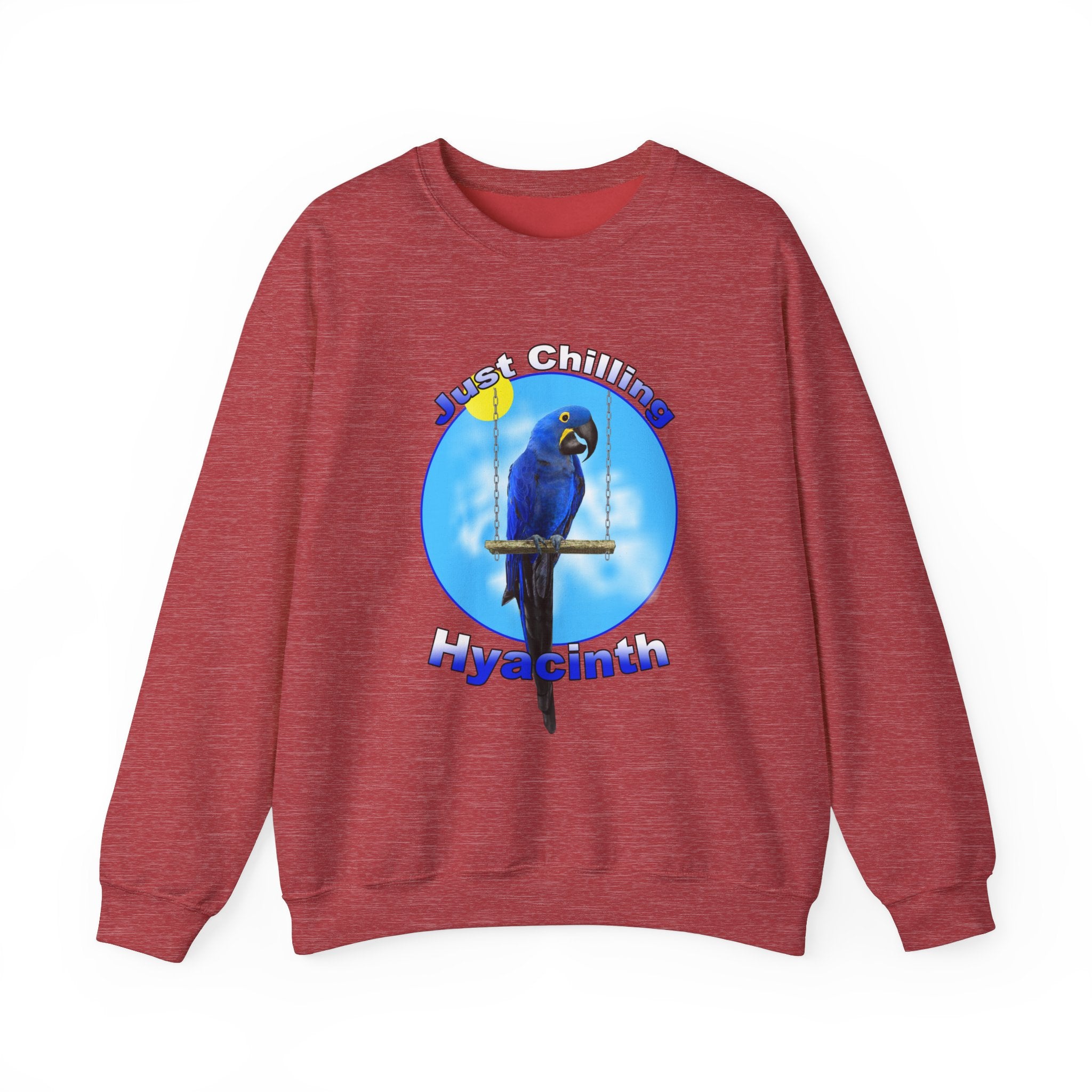 Just Chilling Swing Hyacinth Sweatshirt