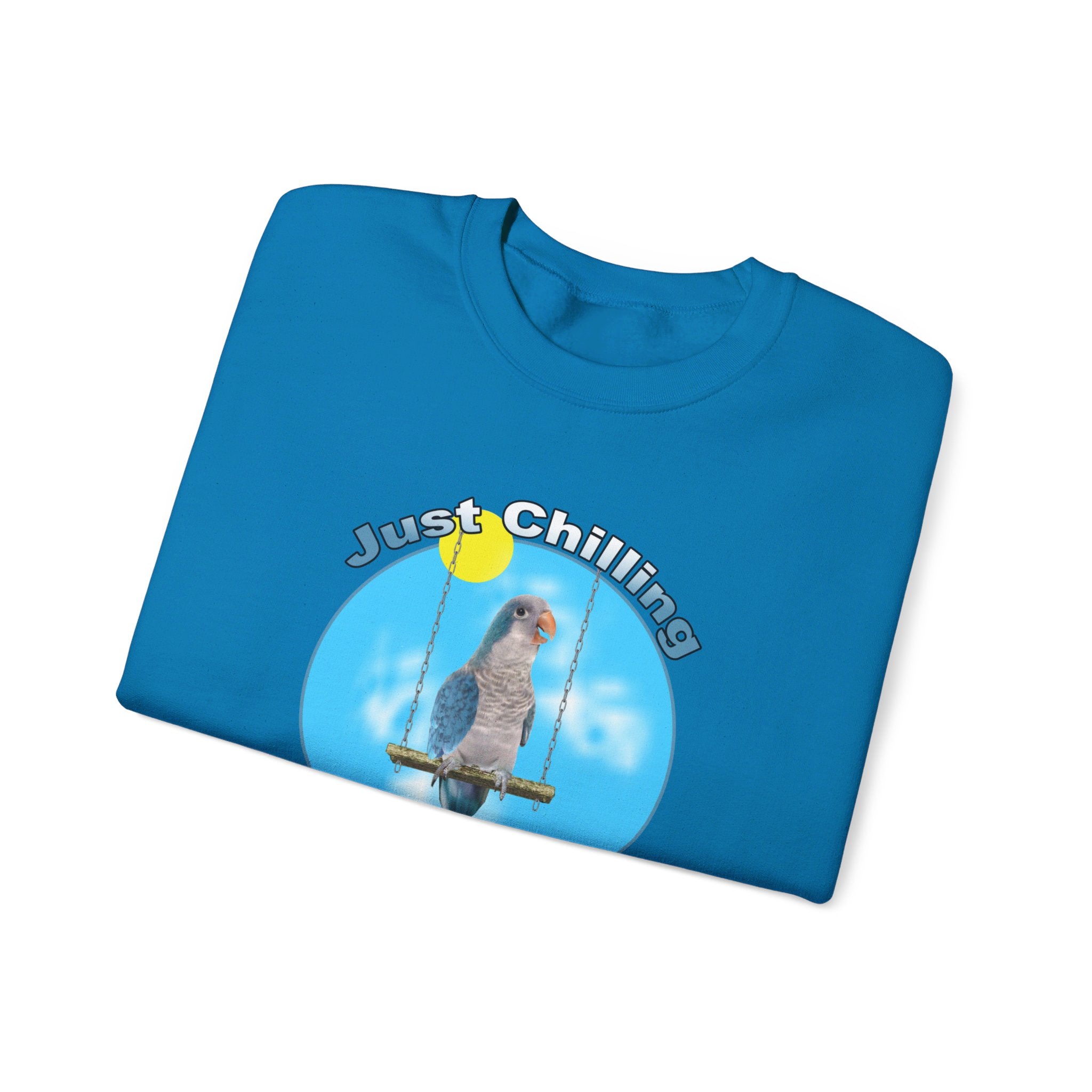 Just Chilling Swing Blue Quaker Sweatshirt