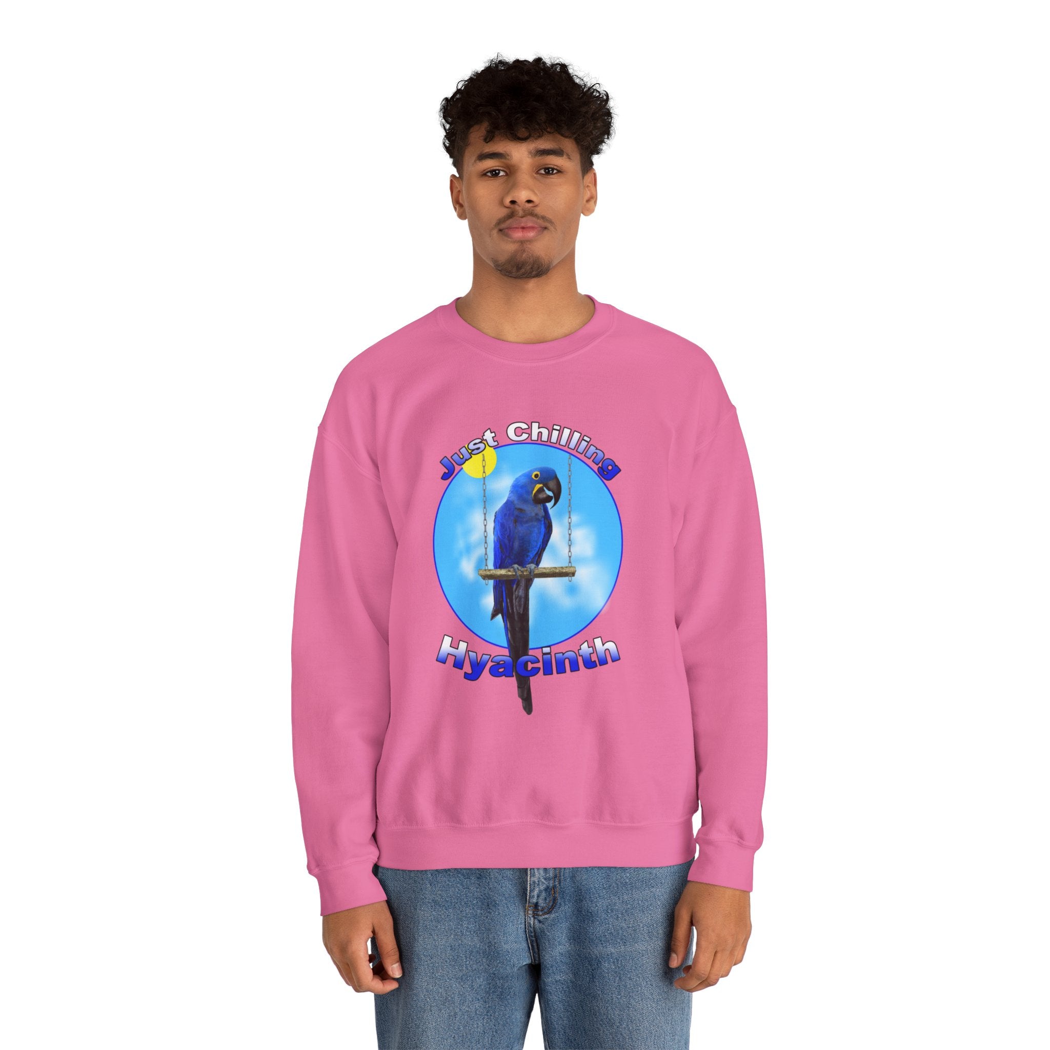 Just Chilling Swing Hyacinth Sweatshirt