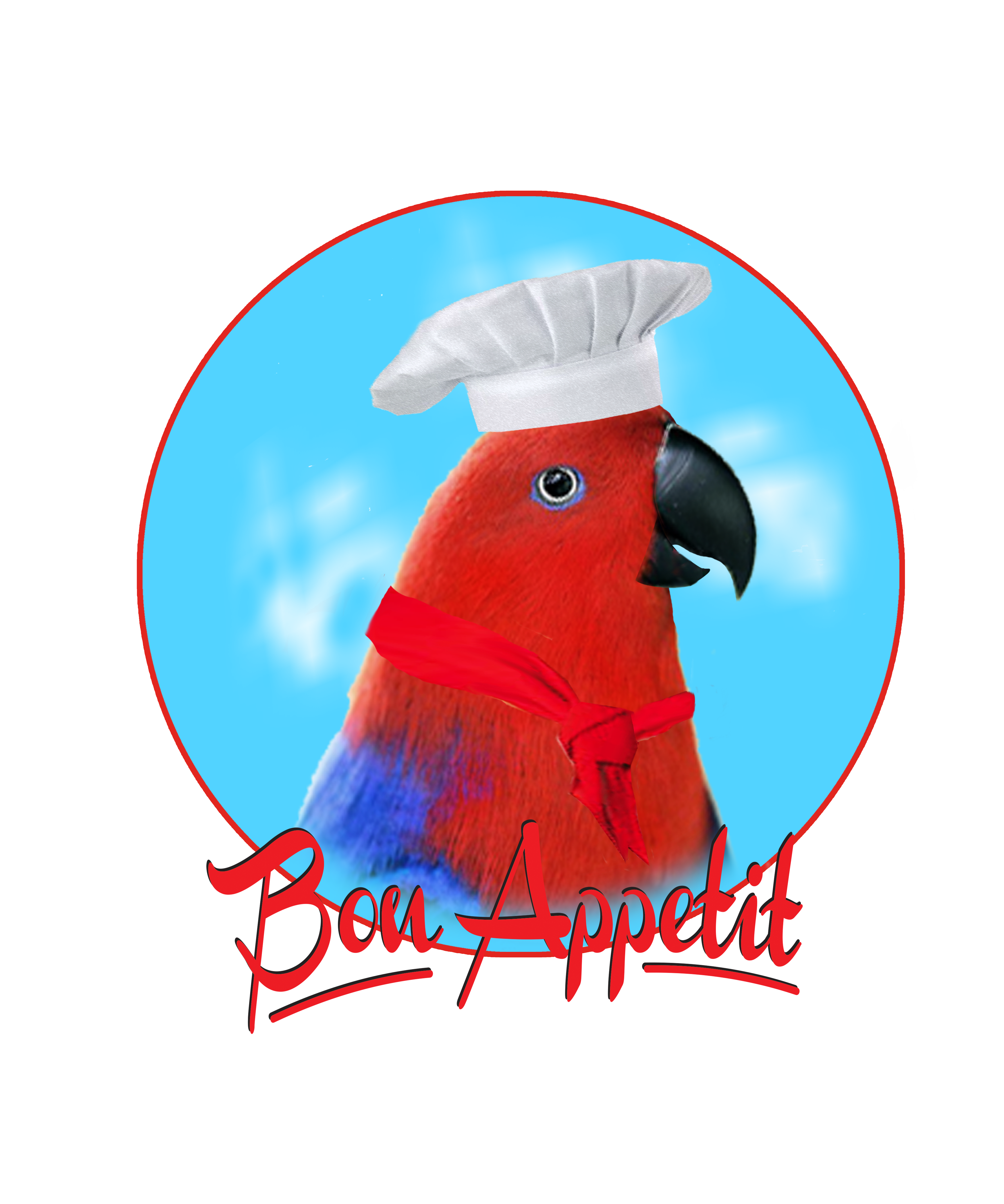 Red Eclectus T-Shirts