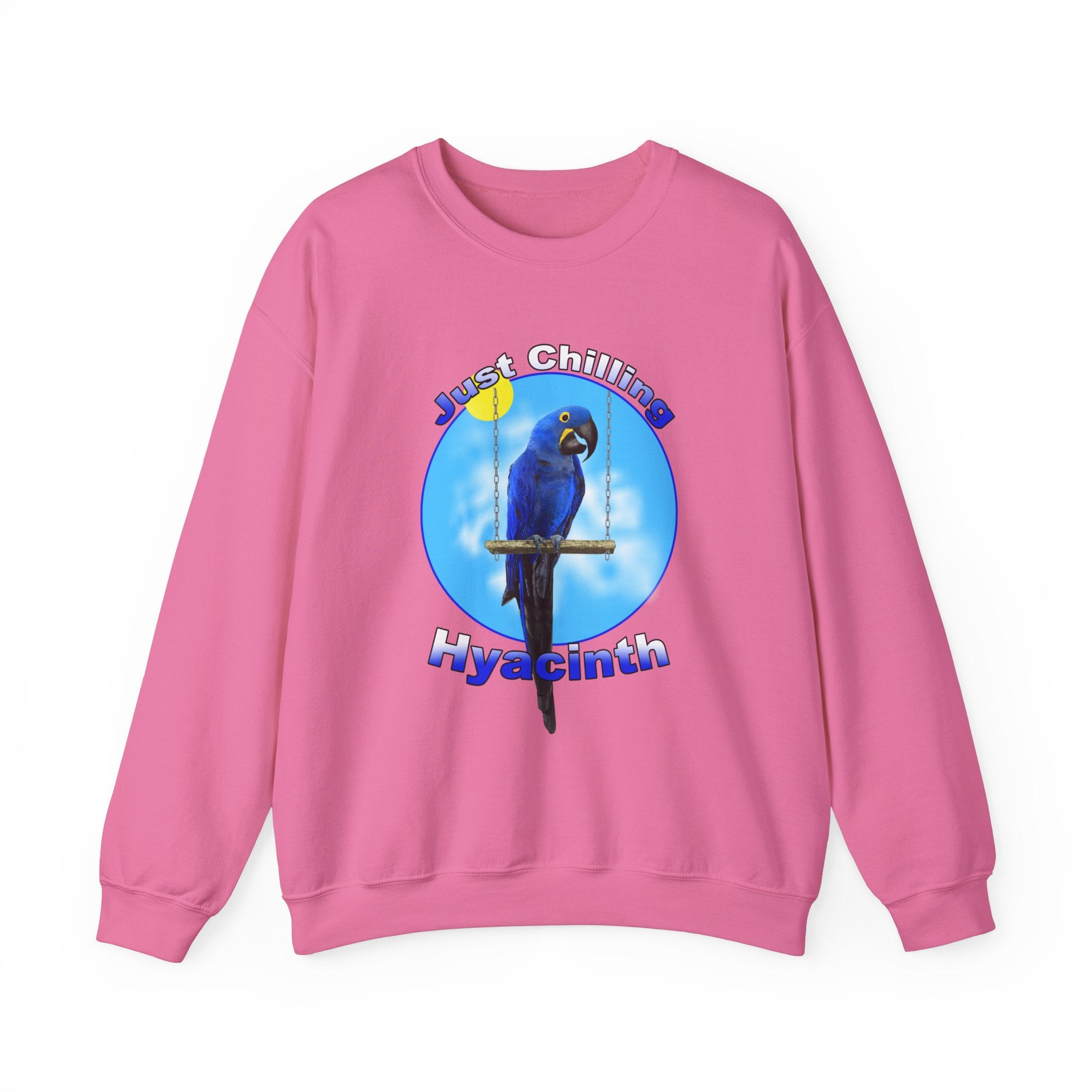 Just Chilling Swing Hyacinth Sweatshirt